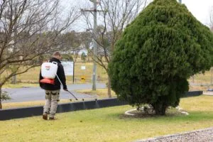 Sydney lawn mowing service near me
