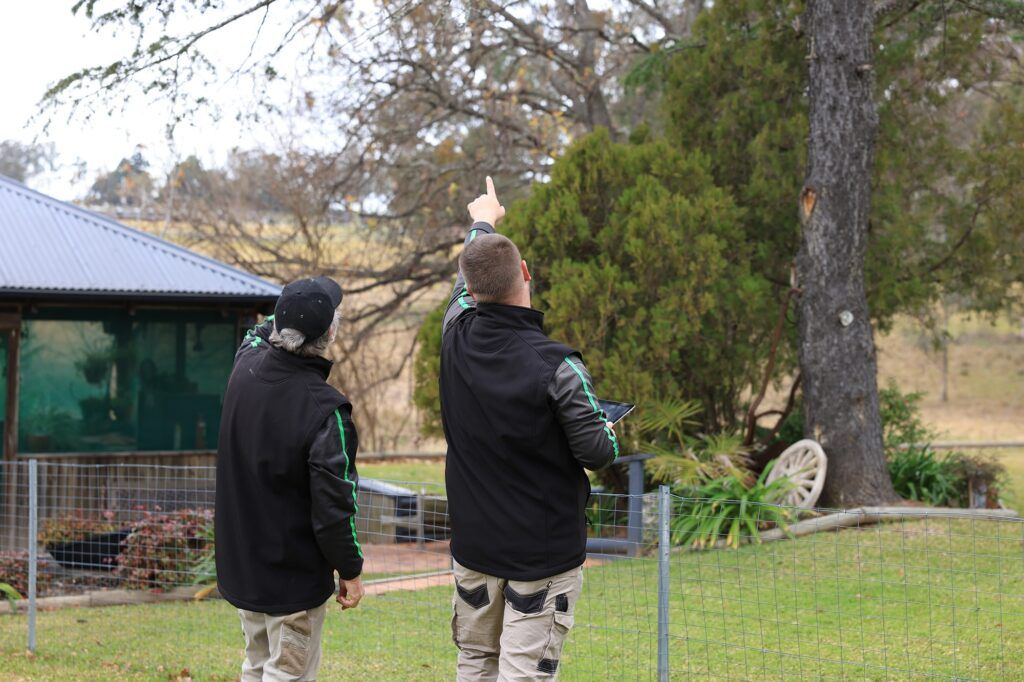 Local tree services Campbelltown