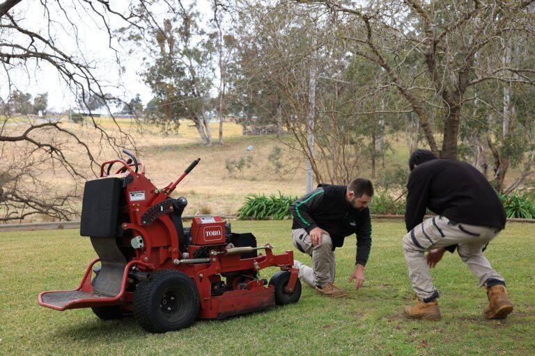 Local Gardening Services: Reliable, Professional Care for Your Home and Business Gardens