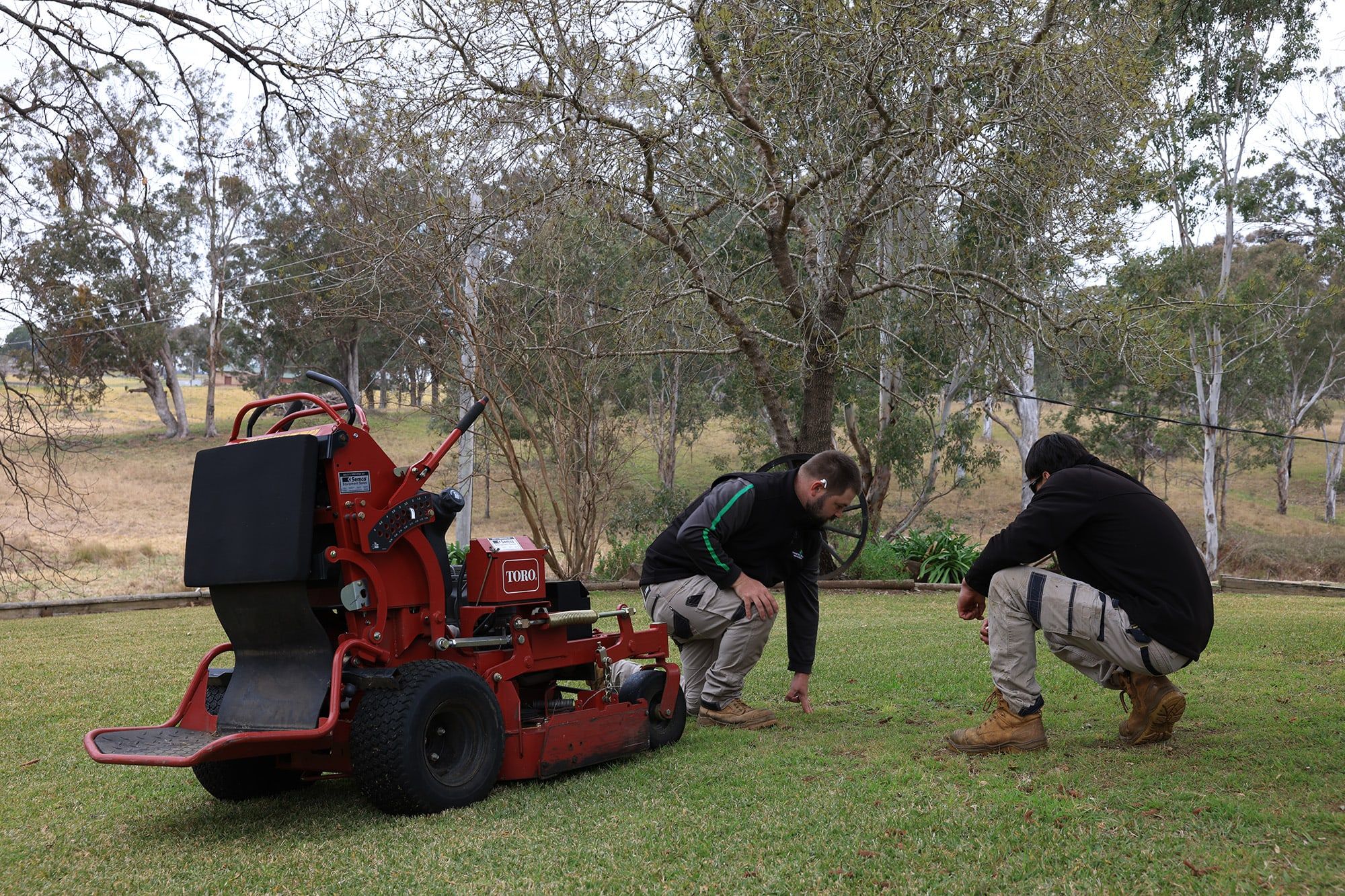 Lawn mowing service in Picton
