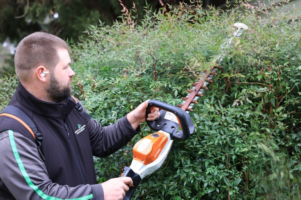 Garden maintenance Narellan