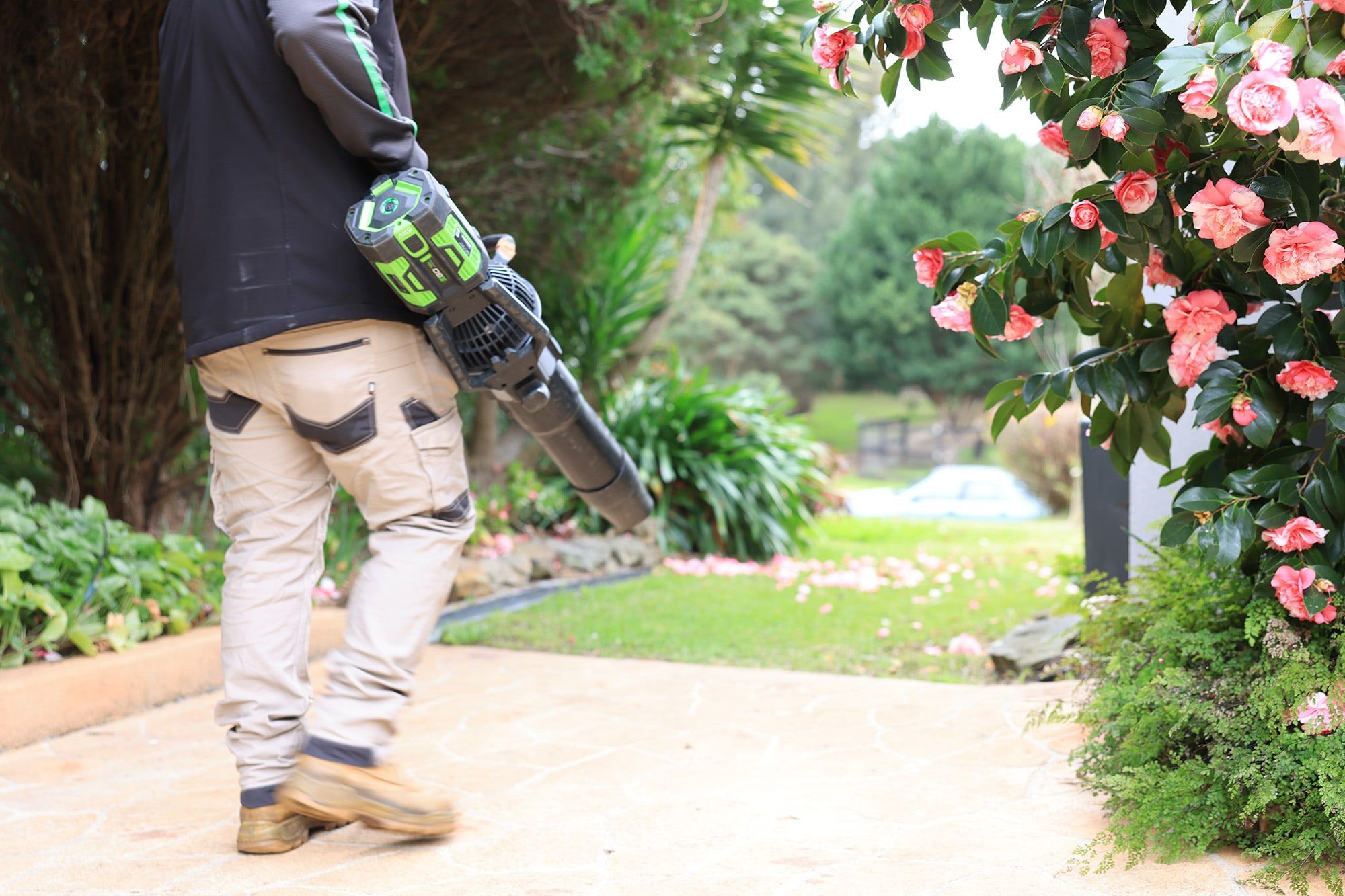 Landscaping near me Sydney