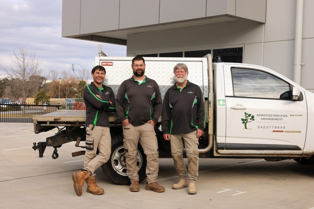 Lawn mowing service in Camden