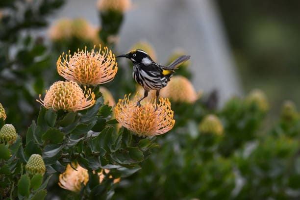 Eco-Friendly Landscape Maintenance