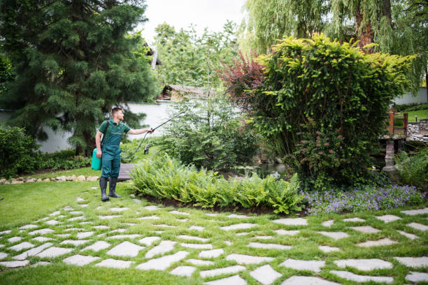 Landscape Maintenance