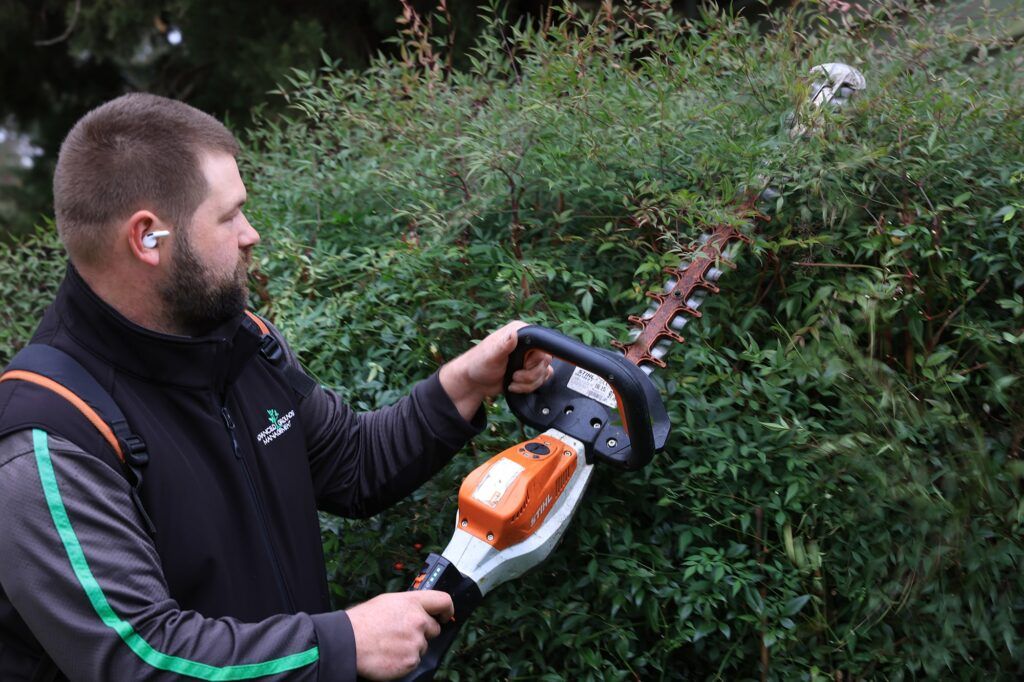 Gardeners near me: your go-to guide for reliable garden care