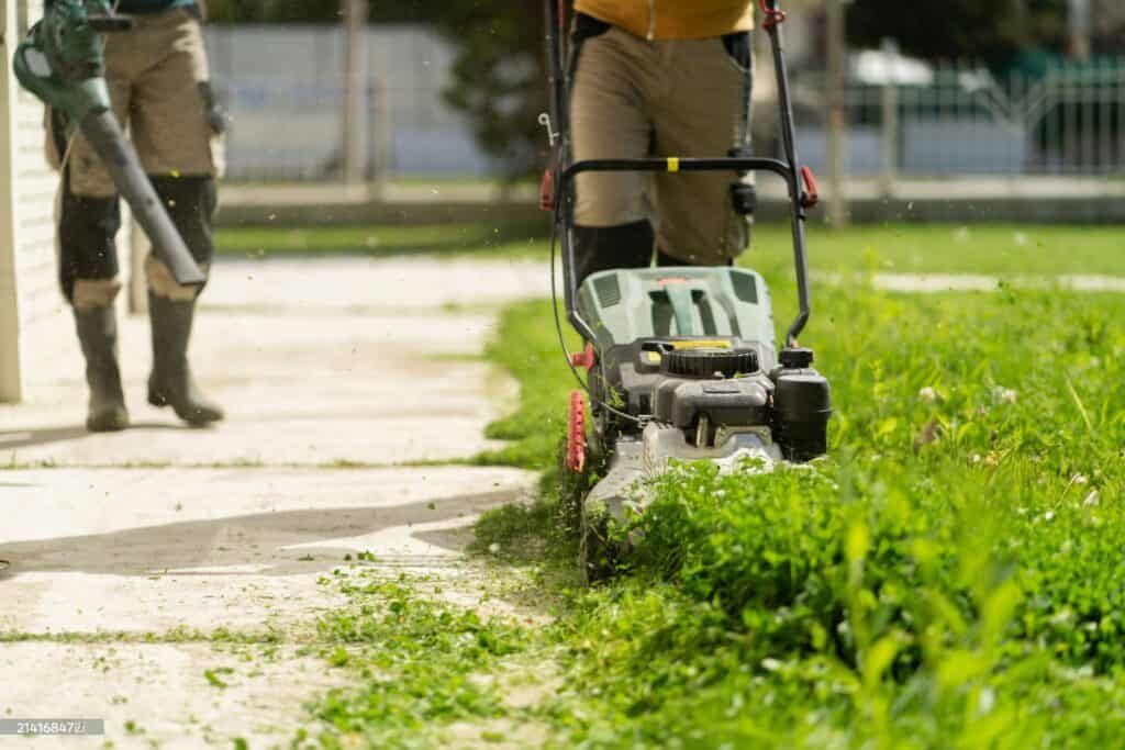 Landscapers Campbelltown locals trust to take the hassle out of garden care
