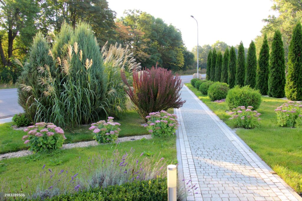Landscape Maintenance