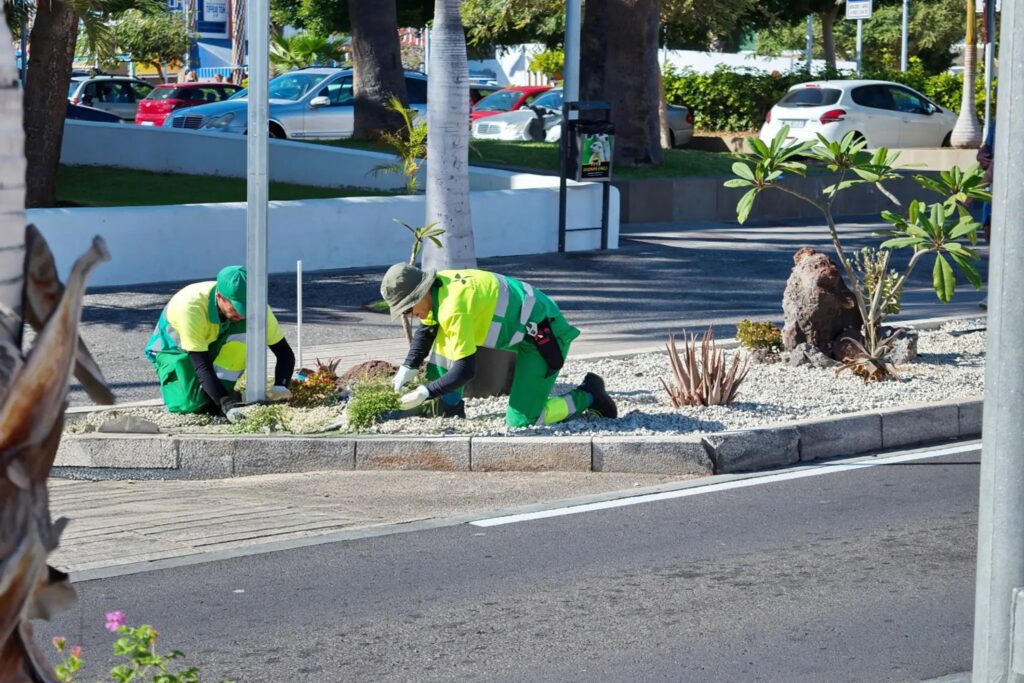 Landscape Maintenance