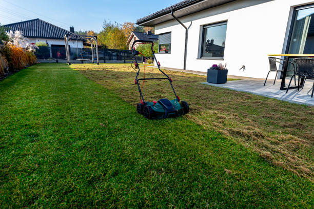 lawn mowing services near me