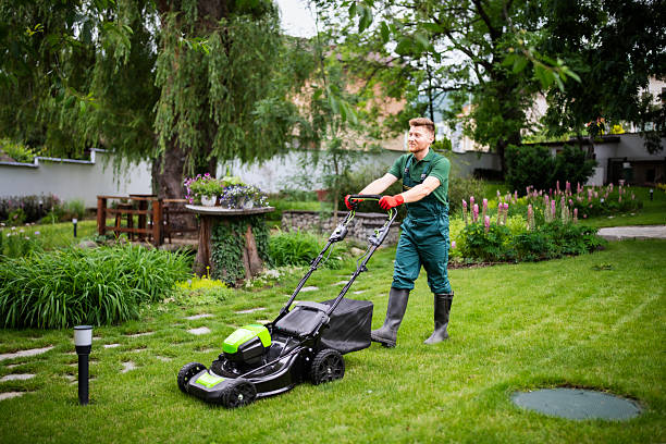lawn caretaker