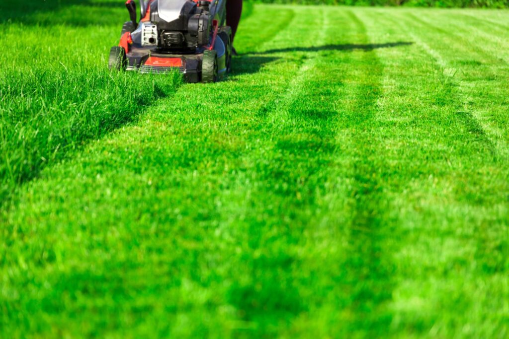Lawn Caretaker