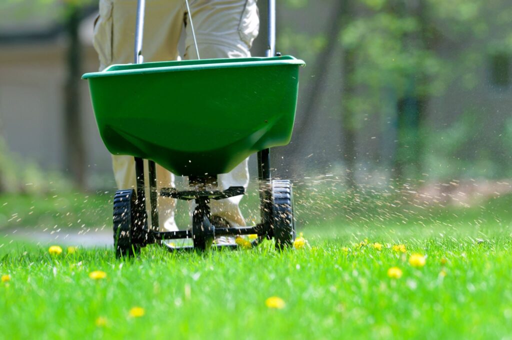 weeding services near me